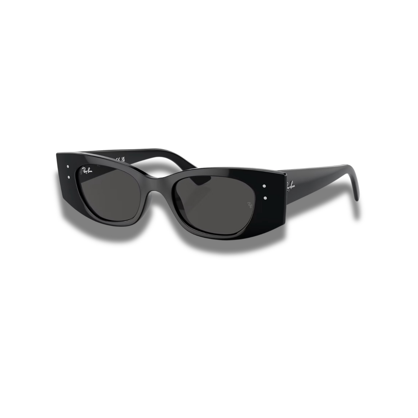 Gafas RB4427 Kat Classic