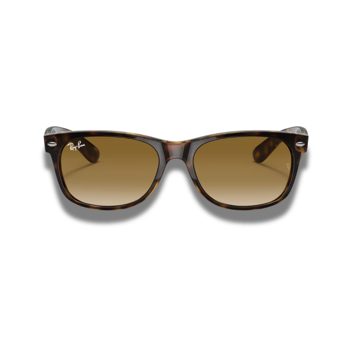 Gafas RB New Wayfarer Carey