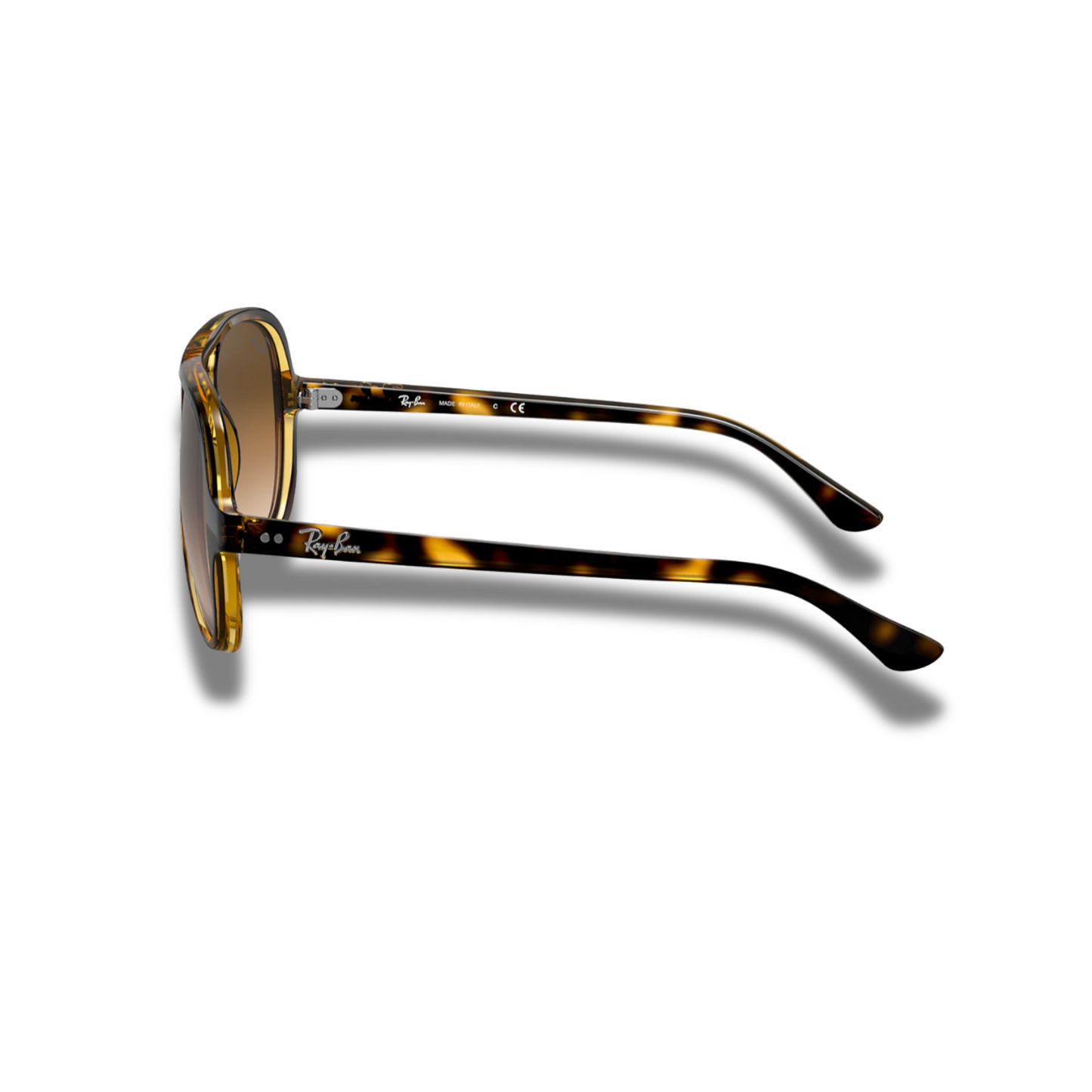 Gafas RB Cats 5000 Carey