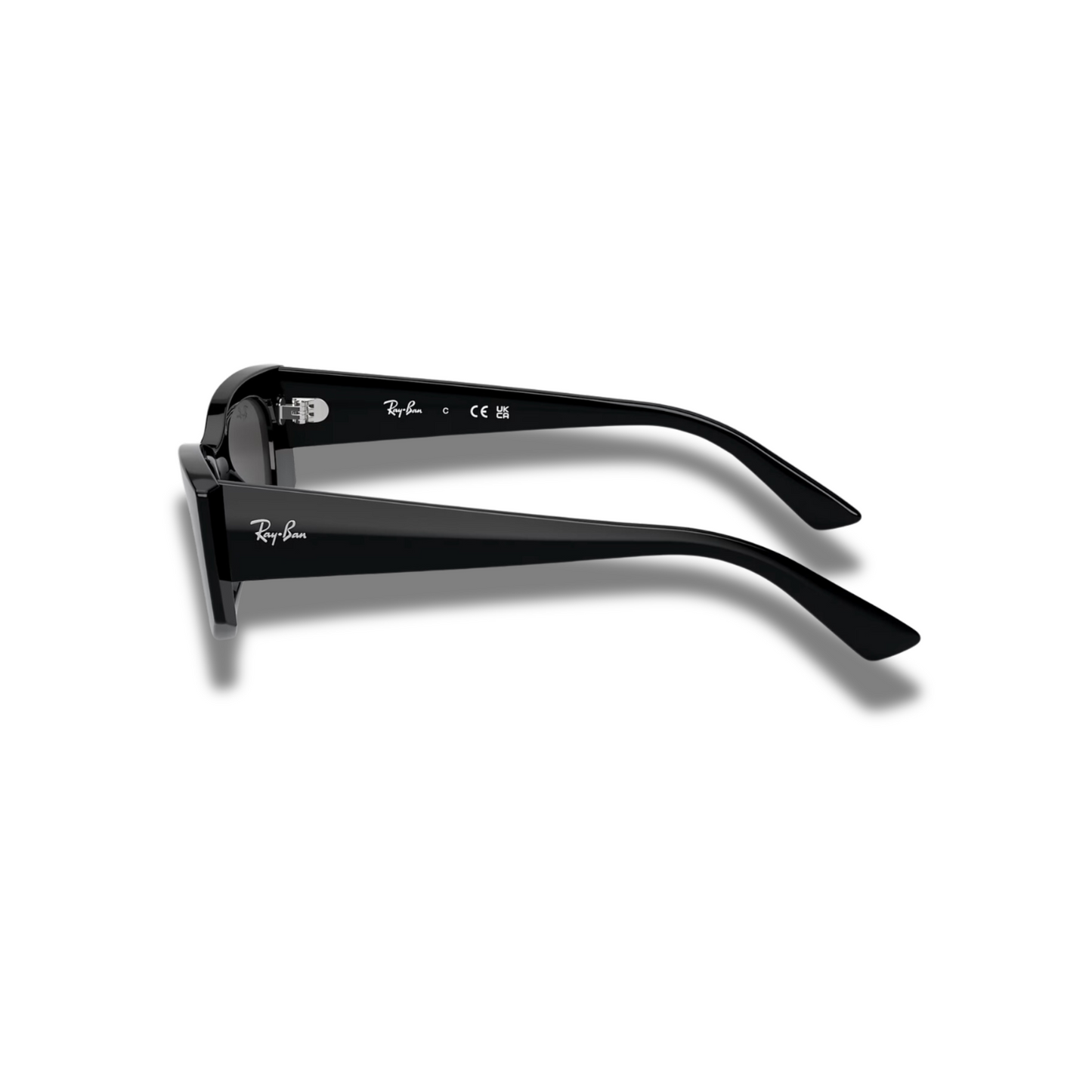 Gafas RB4427 Kat Classic