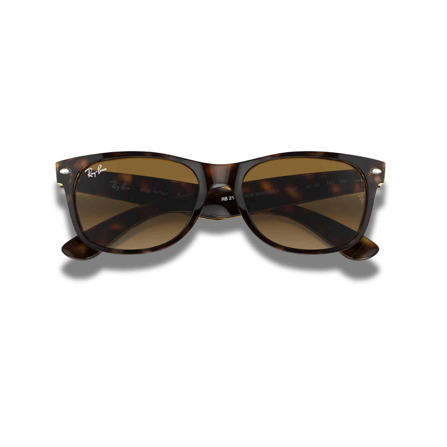 Gafas RB New Wayfarer Carey