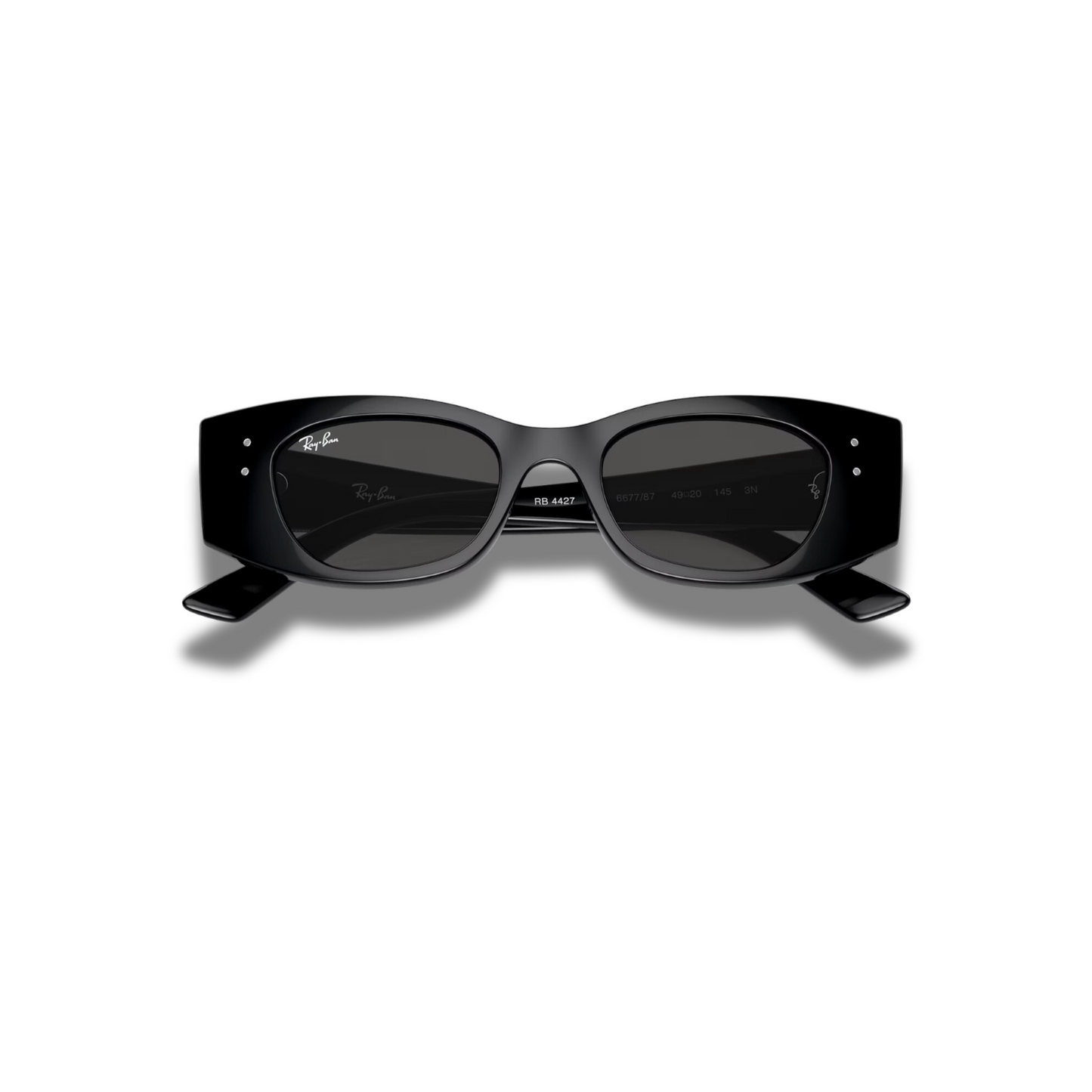 Gafas RB4427 Kat Classic