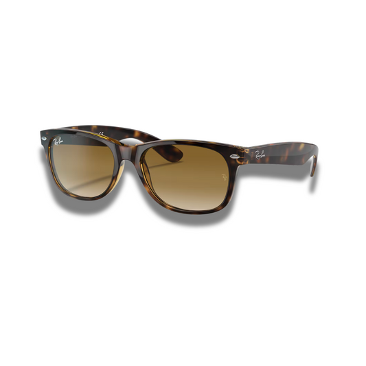 Gafas RB New Wayfarer Carey