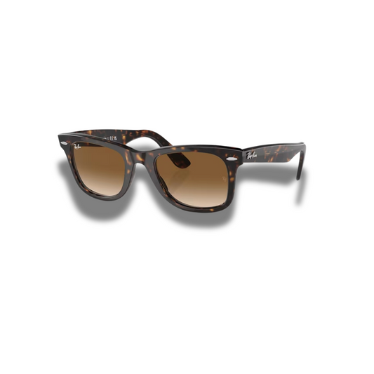 Gafas RB Wayfarer Carey Brown