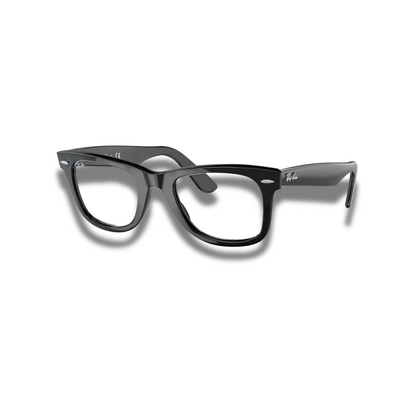 Montura Wayfarer Classic