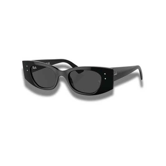 Gafas RB4427 Kat Classic