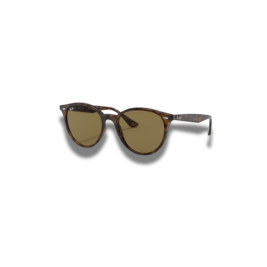 Gafas RB2180 Carey
