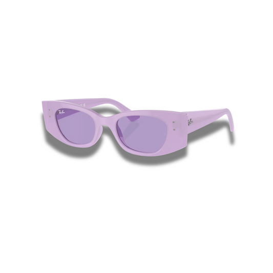 Gafas RB4427 Kat Purple