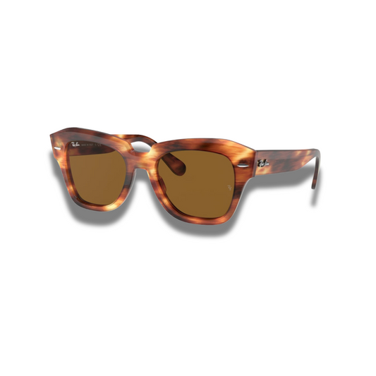 Gafas RB State Street Carey