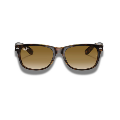 Gafas RB New Wayfarer Carey