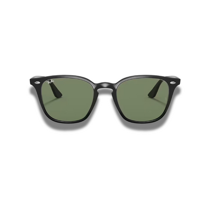 Gafas RB4248 Classic