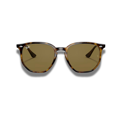 Gafas RB4306 Carey Brown