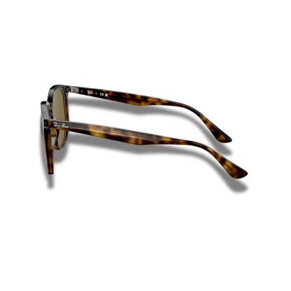 Gafas RB4306 Carey Brown