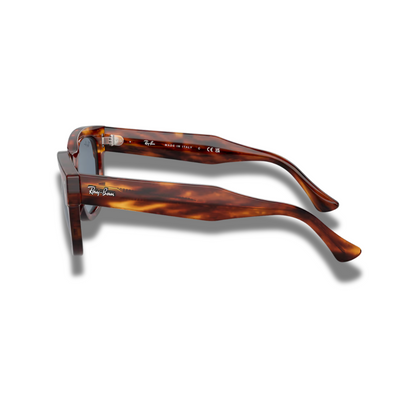 Gafas RB Mega Hawkeye Carey Blue