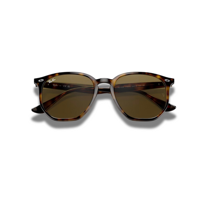 Gafas RB4306 Carey Brown