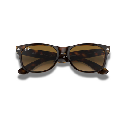 Gafas RB New Wayfarer Carey