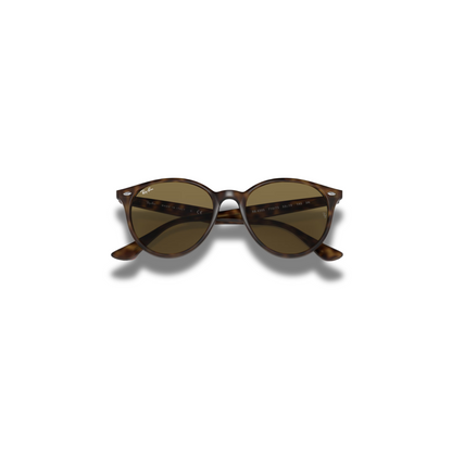 Gafas RB2180 Carey